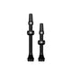 V2 tubeless valve Bosch