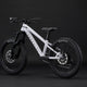 COMMENCAL META HT 20 PURE WHITE 2026