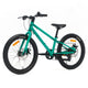 Moose Gaspard 20 Kids bike