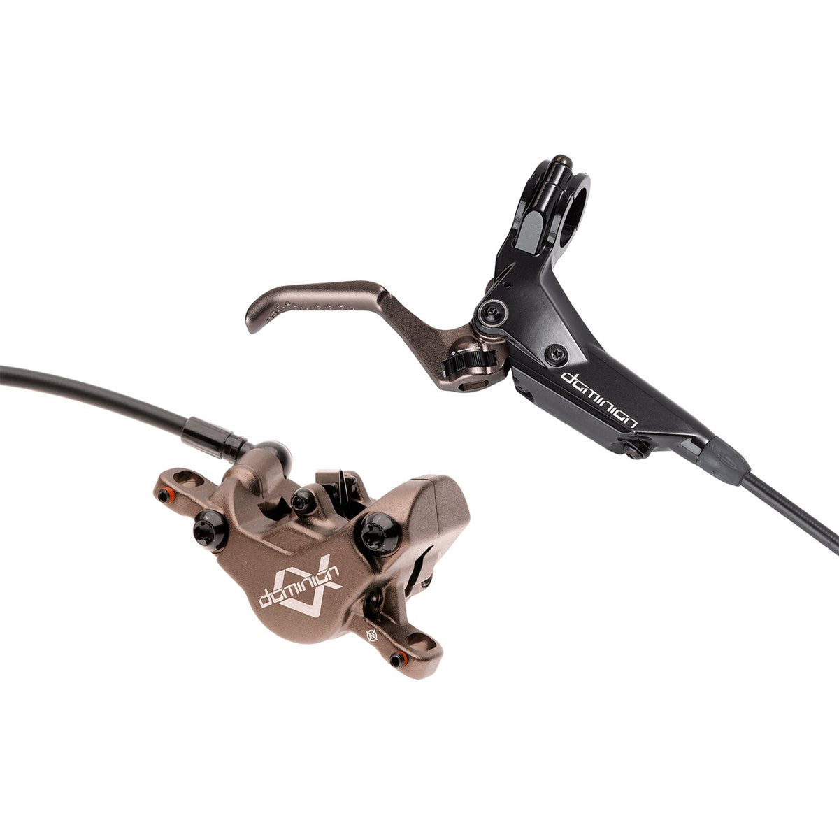 Hayes Dominion A2 Brake Kit