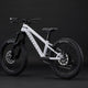 COMMENCAL META HT 20 PURE WHITE 2026
