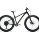 Moose Fat Bike 3