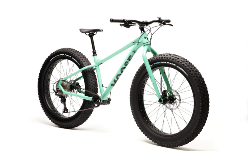 Moose Fat Bike 2