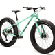 Moose Fat Bike 2