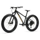 Moose Fat Bike 3