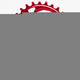 Absolute Black OVAL 104BCD Chainring N/W
