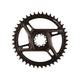 SRAM Rival E1 1x Direct Mount Chainrings