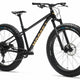 Moose Fat Bike 3