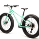 Moose Fat Bike 2