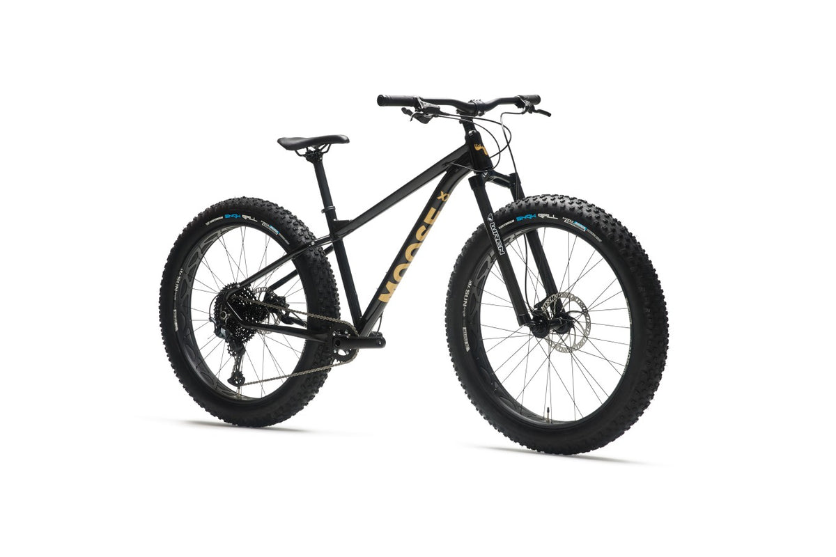 Moose Fat Bike 3