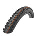 Schwalbe Hans Dampf Addix Mountain Tires