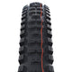 Schwalbe Big Betty Mountain Tires