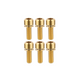 ST1 / ST2 Titanium Bolts (6 pack) - Gold