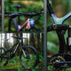 Transition Spire Carbon Eagle 90- 2026