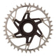 SRAM XX Eagle T-Type DM E-MTB Bosch Chainrings