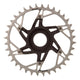 SRAM XX Eagle T-Type DM E-MTB Bosch Chainrings