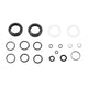RockShox YARI/REVELATION/PIKE/LYRIK Charger RC 200 Hour Service Kit Fork Service Kits
