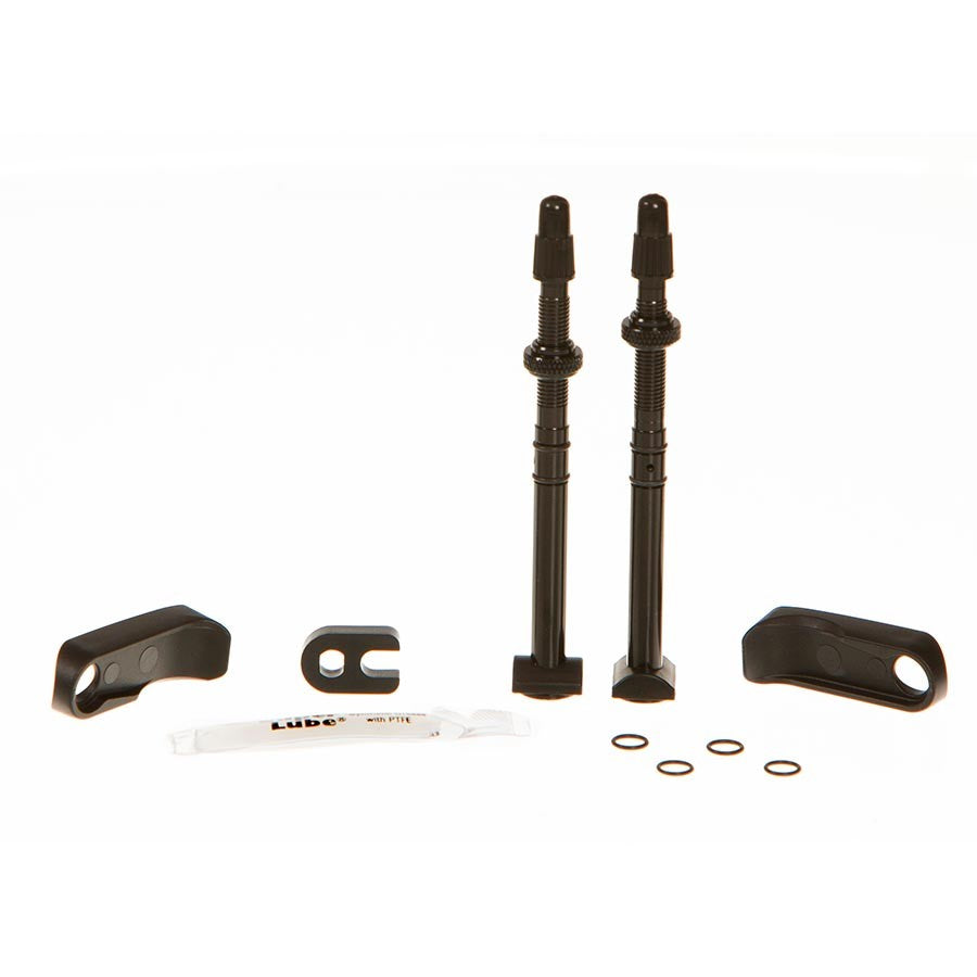 Quarq TyreWiz TL Valve and Skirt for Zipp 303