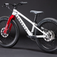 COMMENCAL RAMONES 20 WHITE 2027