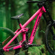 Transition Bottlerocket Frameset - 2026