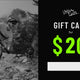 20$ Gift Card / Carte-Cadeau 20$