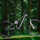 Transition Bottlerocket Alloy Single Crown - 2026