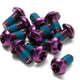 Disc Rotor Bolt Set - 12 pcs