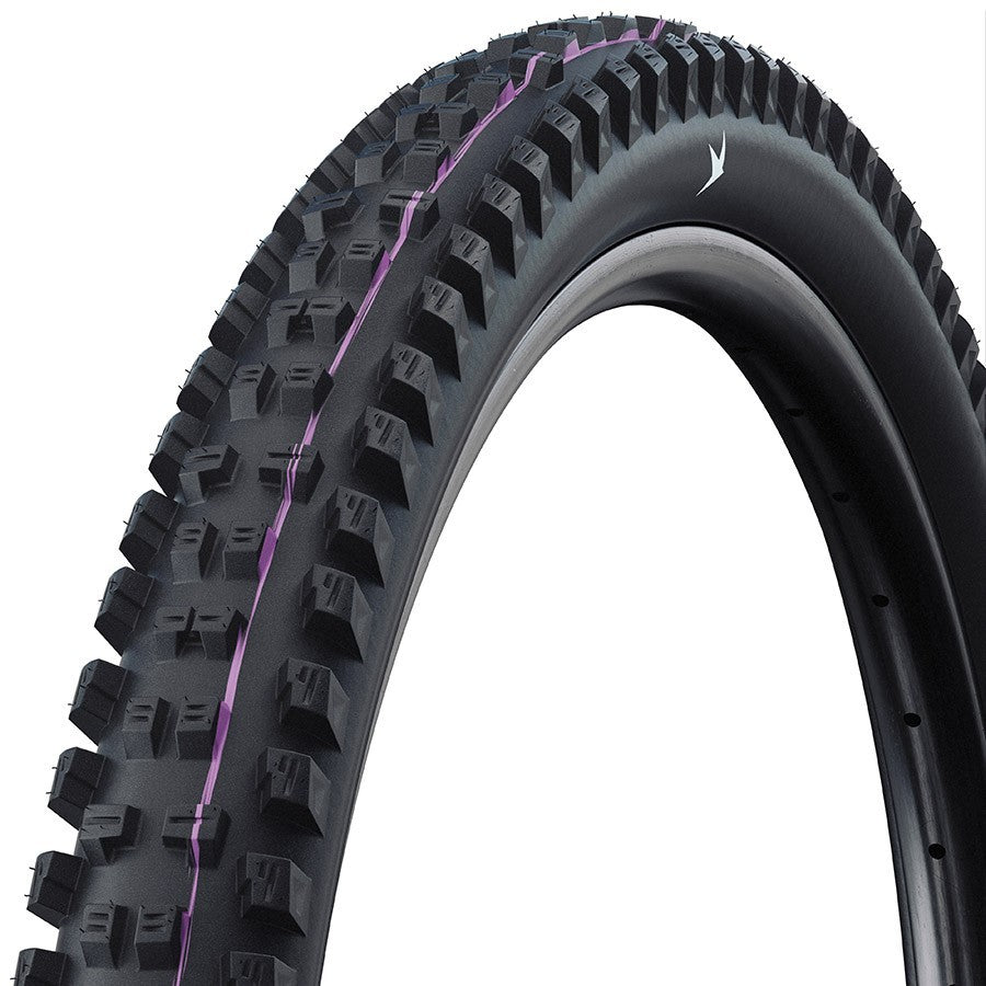 Schwalbe Tacky Chan Gravity Pro Mountain Tires