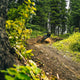 OneUpComponents_RearHub-157_BranniganSunPeaks_2.jpg