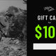 100$ Gift Card / Carte-Cadeau 100$