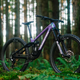 Transition Spire Carbon Eagle 90- 2026