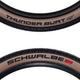 Schwalbe Thunder Burt Mountain Tires