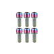 ST1 / ST2 Titanium Bolts (6 pack) - Oil Slick