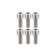 ST1 / ST2 Titanium Bolts (6 pack) - Chrome