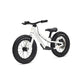Kids Ride Shotgun Dirt Hero Push Bicycles