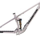 Transition Spur Frameset - 2026