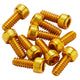 Reverse Components 10xPedal Pins US Size for Escape Pro+Black ONE+Base, Medium
