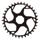 SRAM T-Type Brose A1 Chainrings