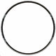 I9 29" replacement rims