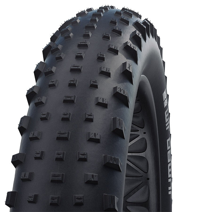 Schwalbe Jumbo Jim Performance Fat Bike Tires