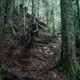 Transition Spire Carbon Eagle 90- 2026