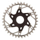 SRAM XX Eagle T-Type DM E-MTB STEPS Chainrings