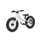 Kids Ride Shotgun Dirt Hero Push Bicycles