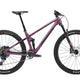Transition Spur GX - 2025