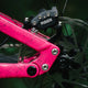 Transition Bottlerocket Frameset - 2026