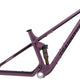 Transition Spur Frameset - 2026