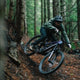Transition Spire Alloy Eagle 70 - 2026