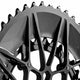 Absolute Black OVAL SpideRing Direct mount for CANNONDALE