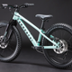 COMMENCAL RAMONES 20 GREEN 2027