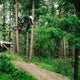 Transition Bottlerocket Frameset - 2026